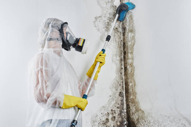 Mold Remediation for Rental Properties in Harbor Springs, MI