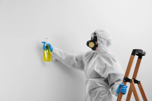 Trusted Harbor Springs, MI Mold Removal Services Experts